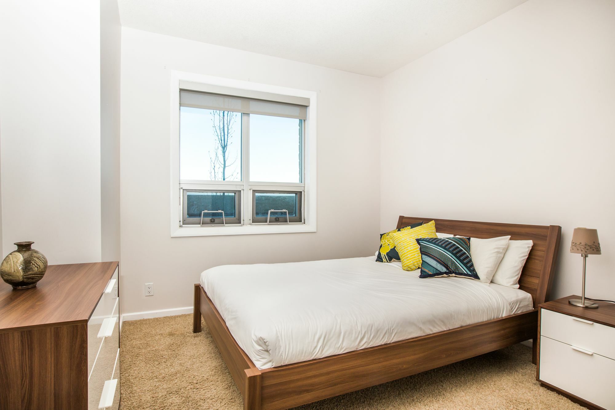 Digs Sasso * Calgary